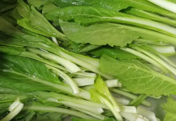 小白菜減肥